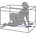 SECRET DOME - KINK CLUB LA NICHE CABIN PURPLE